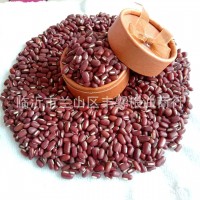 五谷雜糧赤小豆 新品長(zhǎng)粒赤小豆非紅小豆 現(xiàn)貨赤小豆批發(fā)