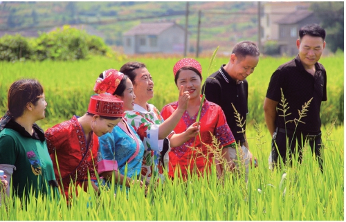 農(nóng)技專家田間地頭助農(nóng)增收