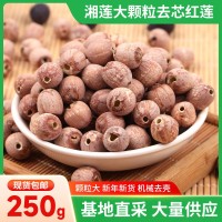 湘蓮大顆粒去芯紅蓮250g湘潭帶皮紅皮蓮子無芯磨皮去皮紅蓮子干貨
