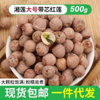 現(xiàn)貨批發(fā)湘蓮大號帶芯紅蓮500g帶芯蓮子干貨新鮮蓮子支持一 件代發(fā)