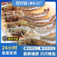 星仔島海水大蝦鮮活海鮮超大海捕對蝦商用整箱廠家現(xiàn)貨水產(chǎn)批發(fā)