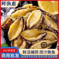 新鮮冷凍大鮑魚(yú)肉500g海鮮水產(chǎn)鮮活去殼小鮑魚(yú)撈汁佛跳墻食材商用