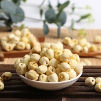 廠家直供500g超大號(hào)去皮去芯水泡蓮子新鮮去殼白蓮子干批發(fā)1 .25CM