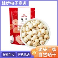 現(xiàn)貨一件代發(fā)小粒去芯白蓮子500克無(wú)芯蓮子去心去皮湘潭蓮子干貨