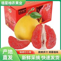 正宗福建平和琯溪紅肉蜜柚 應(yīng)季新鮮水果紅心柚 應(yīng)季蜜柚水果批發(fā)