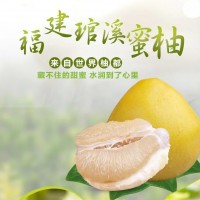 正宗福建平和琯溪老樹(shù)白柚白心蜜柚當(dāng)季新鮮孕婦水果脆甜多汁柚子
