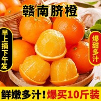 正宗江西贛南臍橙橙子10斤新鮮水果當季整箱贛州產(chǎn)地直發(fā)擠橙