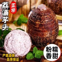 廣西特產(chǎn)荔浦芋頭整箱批發(fā)檳榔芋香芋頭軟粉香糯產(chǎn)地現(xiàn)摘現(xiàn)發(fā)