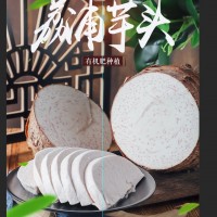正宗廣西荔浦芋頭特大檳榔芋香芋毛芋批發(fā) 種植基地新鮮采挖直發(fā)