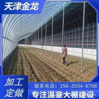 廠家直銷日光暖棚溫室大棚骨架農(nóng)作物種植暖棚插地棚鍍鋅管批發(fā)
