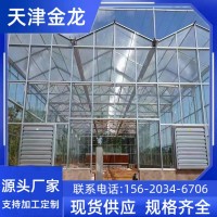 玻璃連棟溫室大棚工程溫室蔬菜瓜果農(nóng)業(yè)種植聯(lián)棟薄膜智能溫室批發(fā)