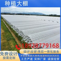 藍莓連棟溫室大棚 農(nóng)業(yè)種植育苗大棚 包工包料大棚建造廠家供應