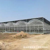蔬菜溫室連體大棚 薄膜溫室大棚果蔬種植 連棟式水果種植育苗大棚