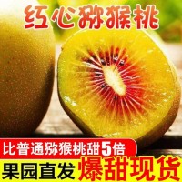 四川蒲江紅心獼猴桃新鮮當(dāng)季水果奇異果應(yīng)季彌猴桃非綠心一件代發(fā)