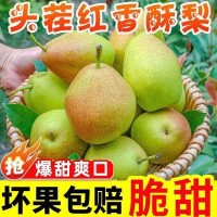 產(chǎn)地直發(fā)紅香酥梨新鮮應(yīng)季孕婦水果整箱10斤發(fā)貨支持代發(fā)梨子