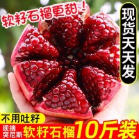 【現(xiàn)貨】突尼斯軟籽石榴新鮮水果10斤應(yīng)季四川會理軟子紅心無籽孕