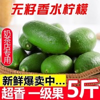 香水檸檬果閃電發(fā)貨海南無籽檸檬一級(jí)青檸檬薄皮廣東新鮮水果檸檬