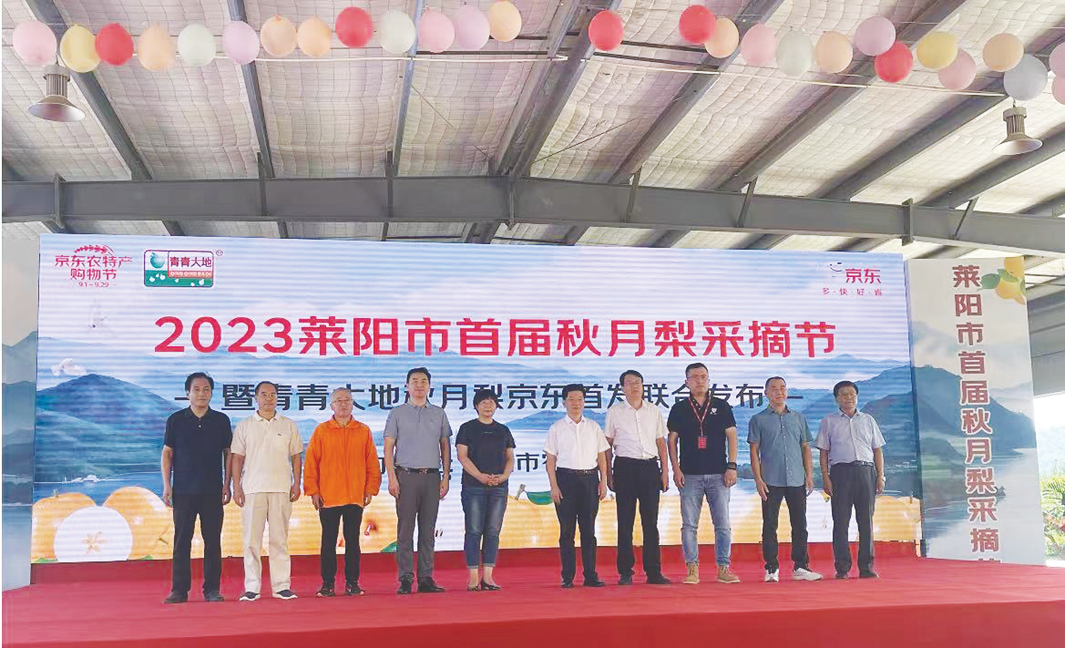     網(wǎng)紅水果秋月梨豐收，山東萊陽(yáng)市舉行首屆秋月梨采摘節(jié)