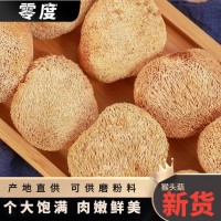 福建猴頭菇500g食用菌肉質細煲湯食材菇干貨源頭廠家支持一件代發(fā)