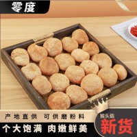 福建猴頭菇500g食用菌干貨 均勻飽滿，肉質細煲湯食材菌菇 源頭廠
