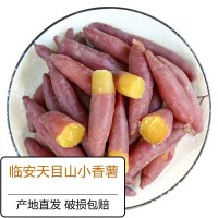 天目山小香薯5斤