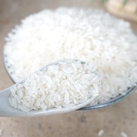 榔橋河支持定制 大米批發(fā)長粒香米（豐兩優(yōu)）農(nóng)家自產(chǎn)新米真空包