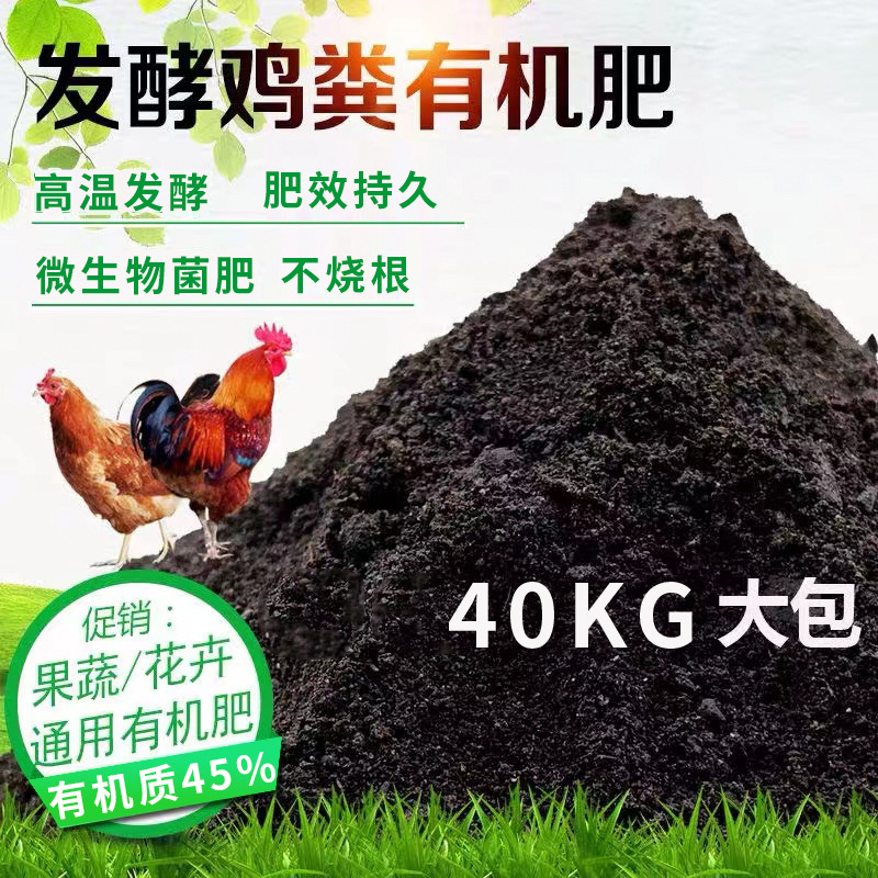 雞糞2