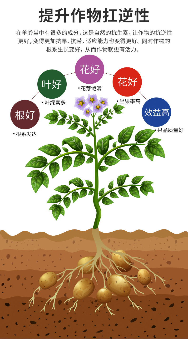 未標(biāo)題-1_06.jpg