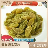 新疆無(wú)核白綠葡萄干500g袋中果 吐魯番無(wú)籽綠干散裝/袋裝 可批發(fā)