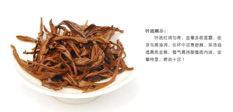 鳳牌58金典7