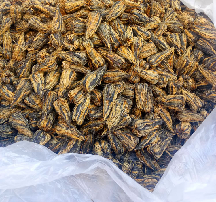 寶塔滇紅4