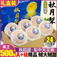 精品果王正宗山東秋月梨10斤梨子當(dāng)季水果整箱萊陽雪梨包郵甜禮盒