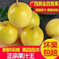 黃金百香果現(xiàn)摘現(xiàn)發(fā)新鮮5斤大果當(dāng)季果熱情果一件代發(fā)工廠(chǎng)批發(fā)