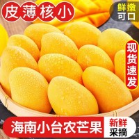 海南小臺(tái)農(nóng)芒果10斤新鮮大臺(tái)芒應(yīng)季水果現(xiàn)摘熱帶雞蛋芒整箱3斤