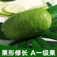檸檬當(dāng)季新鮮現(xiàn)摘孕婦水果奶茶店直供手打香水青檸檬一件代發(fā)