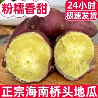 海南澄邁橋頭地瓜富硒新鮮番薯產(chǎn)地直銷農(nóng)家沙地板栗紅薯一件代發(fā)