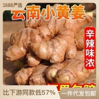 云南小黃姜新鮮批發(fā)生姜老姜新姜生鮮塊姜1/2/3/5/8/9/1 0一件代發(fā)