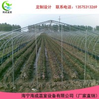 供應(yīng) 標(biāo)準(zhǔn)GP622 6X20米 單棟塑料鋼架大棚