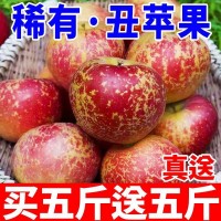 丑蘋果真送大涼山冰糖心紅富士脆甜批發(fā)當(dāng)季新鮮水果整箱廠家直銷