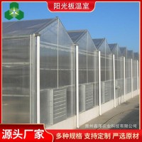 陽光板溫室大棚 溫室大棚 陽光板溫室花房 PC陽光板溫室
