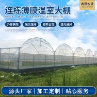 廠家蔬菜水果暖棚薄膜連棟溫室大棚 簡(jiǎn)易連體薄膜溫室大棚建設(shè)
