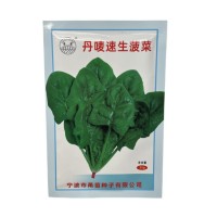 批發(fā)丹嘜速生菠菜種子蔬菜秋冬籽種陽臺(tái)種籽菜種盆栽波菜孑菜籽子