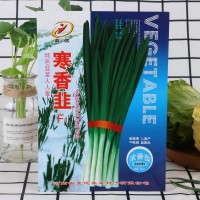 寒香韭菜農(nóng)田菜園蔬菜種子高產(chǎn)易種250g寒香韭菜種子批發(fā)