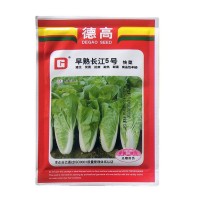 蔬菜種子公司供應(yīng)優(yōu)質(zhì)小白菜種子德高早熟長江5號(hào)快菜種耐熱耐濕