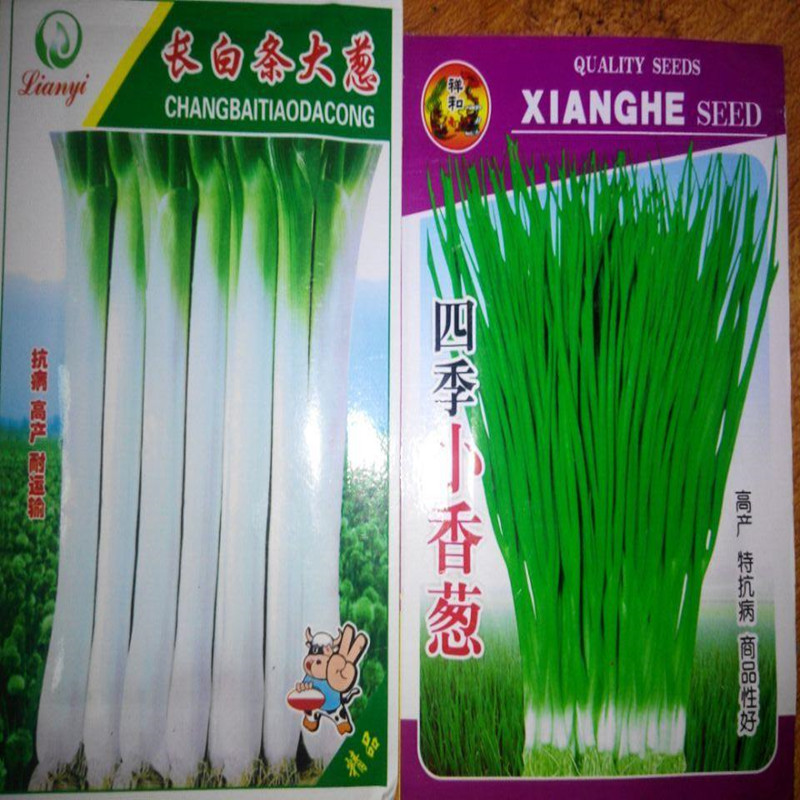 大蔥