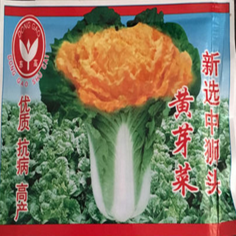 黃芽白菜