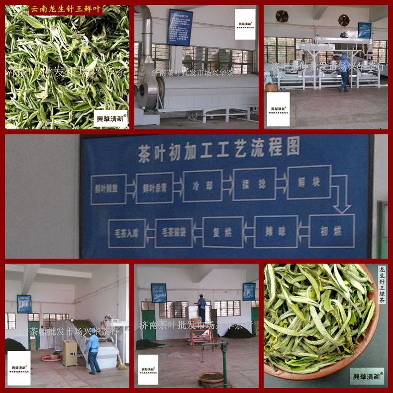 龍生針王