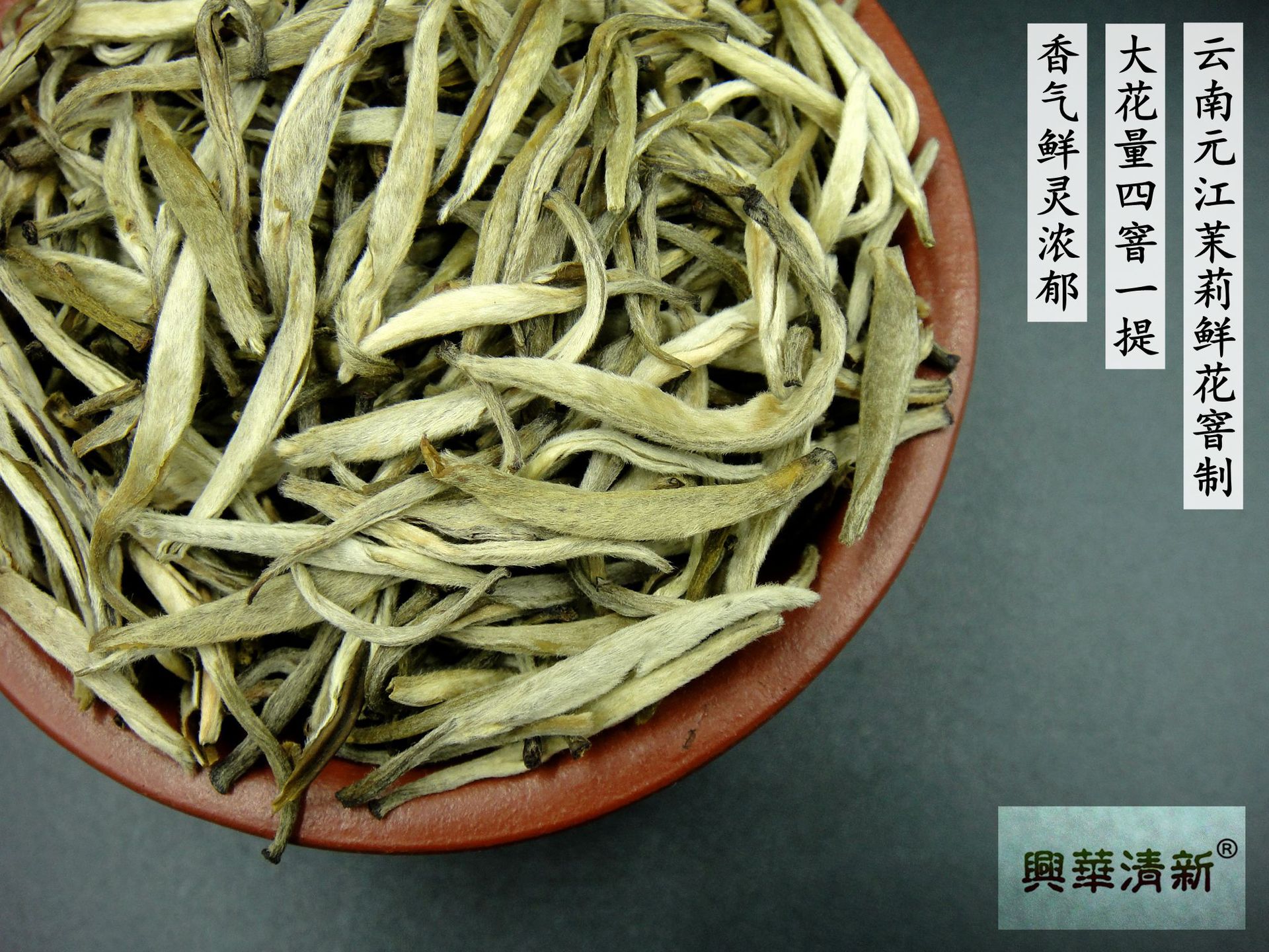 龍生針王