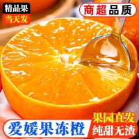 愛媛38號(hào)果凍橙新鮮橙子當(dāng)季水果四川柑橘蜜桔子5斤整箱大果包郵