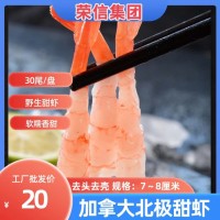 北極甜蝦 加拿大北極甜蝦 無殼即食日料 廠家發(fā)貨